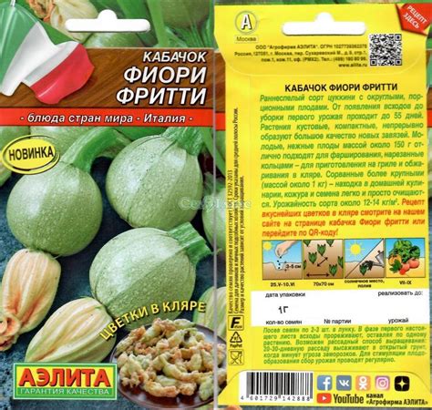 Кабачок фиори фритти - 56 фото