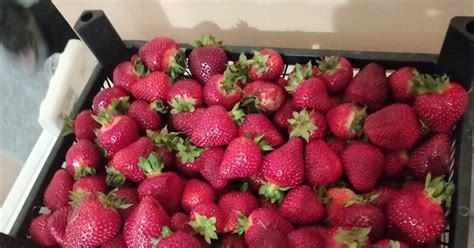 Бундим!)) | Пикабу