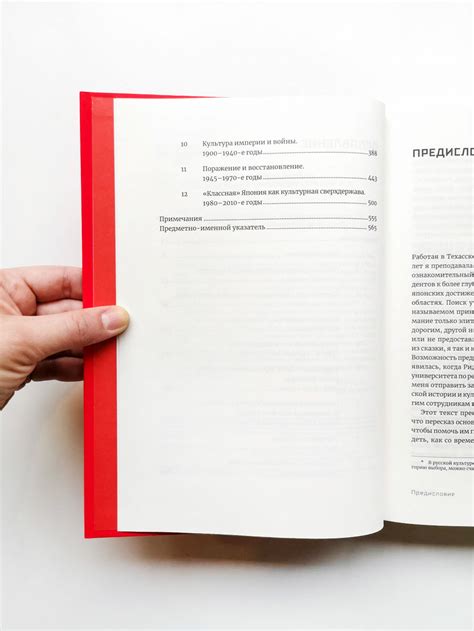 Япония. История и культура: от самураев до манги - Vilki Books