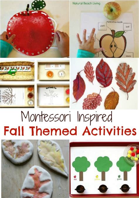Fabulous Themed Fall Montessori Activities Apple Activities Nature