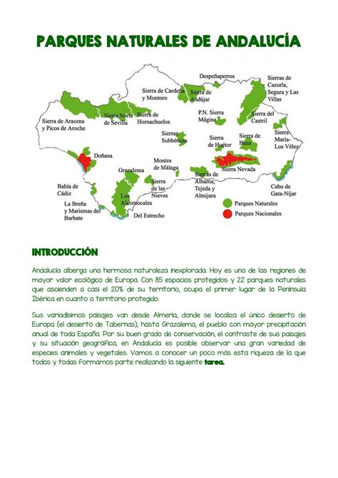 Parques Naturales de Andalucia by Sonia Fernandez Rodríguez Issuu