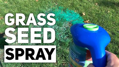 Spray Grass Green Home Depot - Captions Ideas