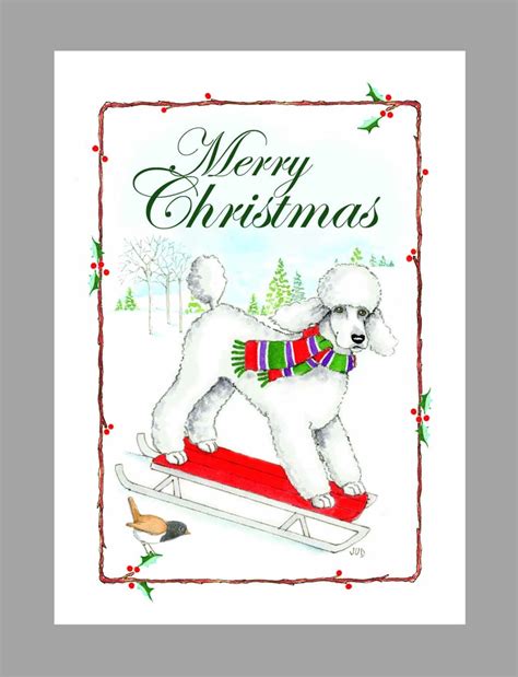 Poodle White Christmas Cards Box Of 16 Cards And 16 Etsy