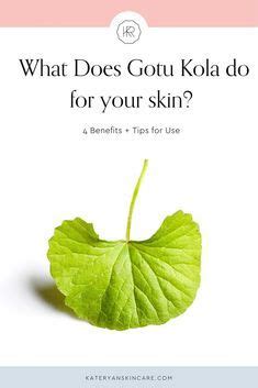 Gotu Kola Benefits Skin Care Regimen Skin Care Tips Natural Face