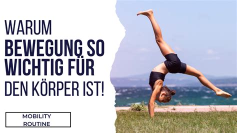 Warum Bewegung so wichtig für den Körper ist