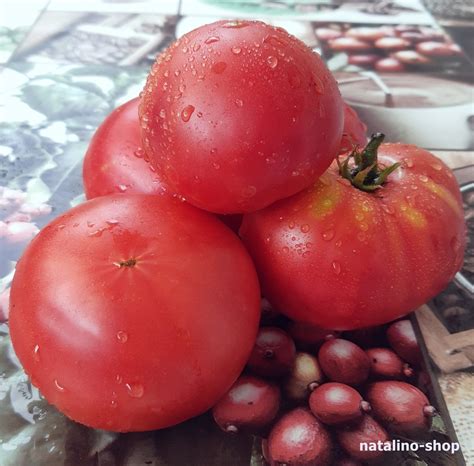 Tomate *Mikado Rosa* Samen - Samenshop www.natalino-shop.de