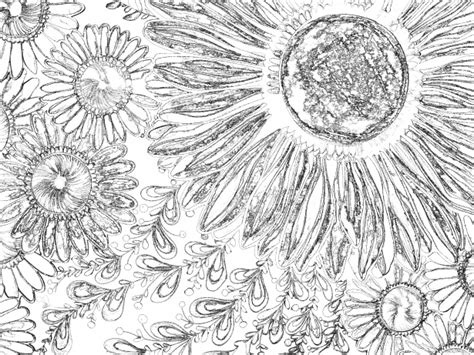 Black And White Flower Sketch Free Stock Photo - Public Domain Pictures