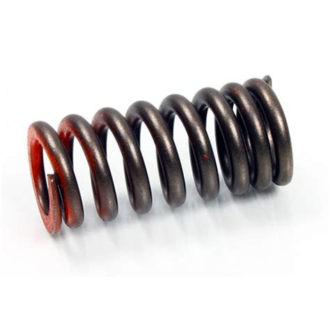 Psychic Exhaust Valve Springs Xu 09526es Ebay