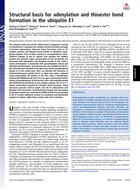 (PDF) Structural basis for adenylation and thioester bond formation in ...