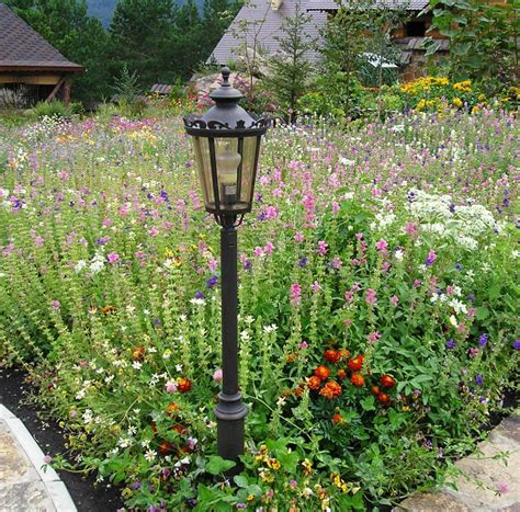 Мавританский газон в ландшафтном дизайне (73 фото) - красивые картинки ...