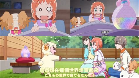 Wonderful Precure Precure Cc