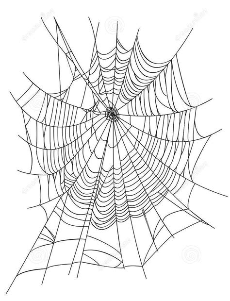 Web Spider Illustration Creative Euclidean Vector Cartoon Transparent