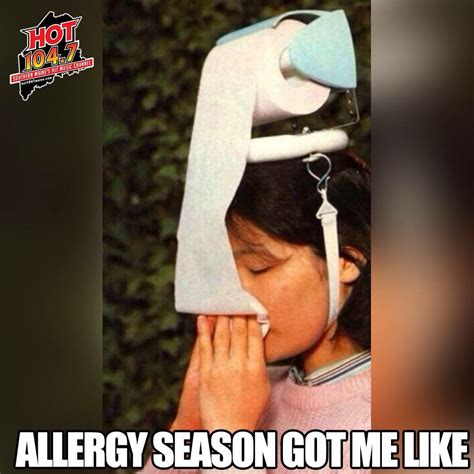 Pin By Christine Marchessault On Memes Allergies Allergy Memes