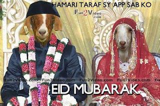 Bakra Eid Funny Pics-New Funny Pics In 2013 | sms4smile