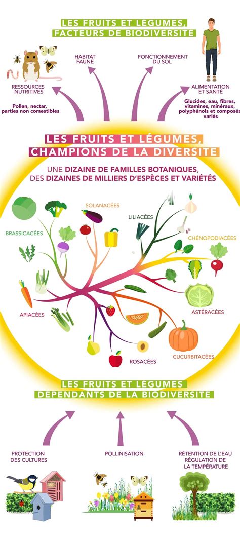 Les fruits et légumes maillon essentiel de la biodiversité