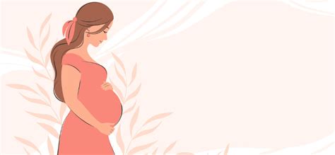 Guia Completo Como Escolher A Melhor Lingerie E Camisolas Para Gestantes E Pós Parto folhamidia