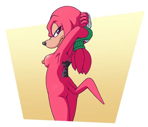 Salt The Echidna By Dorigreen Hentai Foundry