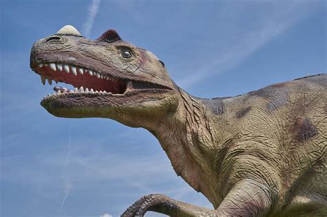 Dinosaurier Prehistorisch Kostenloses Foto Auf Pixabay