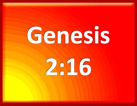 Genesis 216 And The Lord God Commanded The Man Saying Of Every Tree
