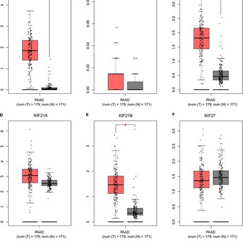 Prognostic Nomogram For Pancreatic Ductal Adenocarcinoma Patient