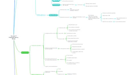 Secci N Propiedad Planta Y Equipo Mindmeister Mapa Mental