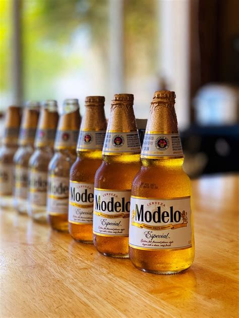 Modelo Beer | Tienda de licor, Bebidas alcoholicas, Pack cerveza