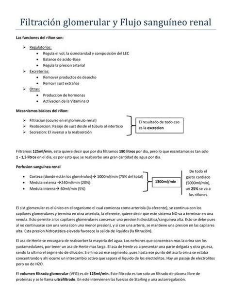 Filtración Glomerular y Flujo Sanguíneo Renal Rafael Soares uDocz