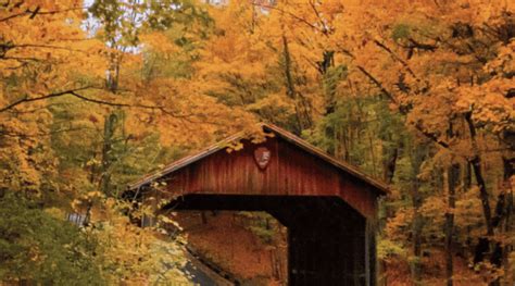 7 Awesome Fall Color Drives in Northern Michigan