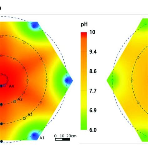 Spatial Distribution Of Ph After Ek Prb Remediation Without A And