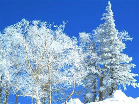 Enjoy the Kiroro Resort with Abundant Powder Snow!