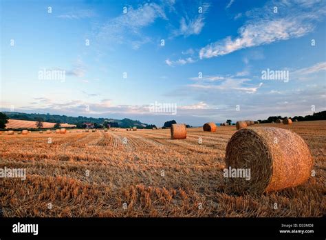 Lovely Sunset Golden Hour Landscape Of Hay Bales In Field In English