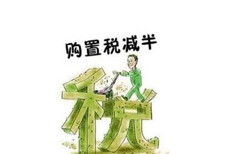 买车购置税减半政策什么时候截止车主指南