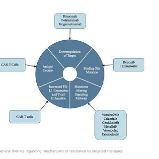 Summary table of the mechanisms of resistance to targeted therapies in ...
