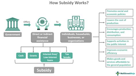 Subsidy Meaning Examples Types How Does It Work