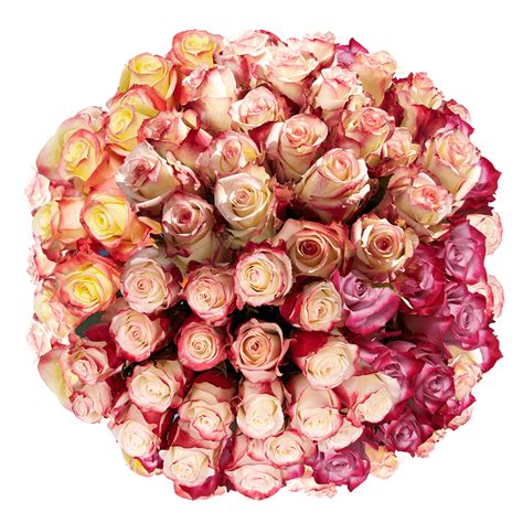 Multiple Colored Flowers