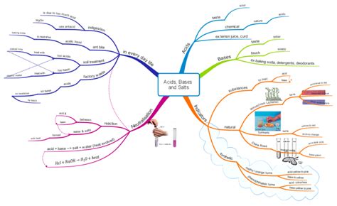 Acids Bases And Salts Concept Map