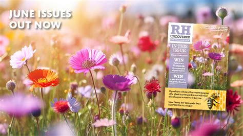 RH Uncovered Crawley West June 2024 Issue Community Magazine