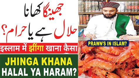 Jhinga Khana Haram Hai Ya Halal Prawns Halal Or Haram Kya Jhinga