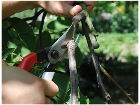 OKATSUNE 103 nůžky - Fall Protection