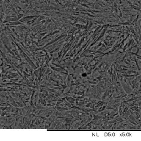 Scanning Electron Microscopy Sem Of The Specimens Before The Surface