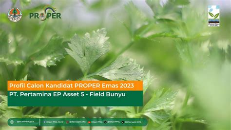 Profil Kandidat Emas PROPER 2023 PT Pertamina EP Asset 5 Field