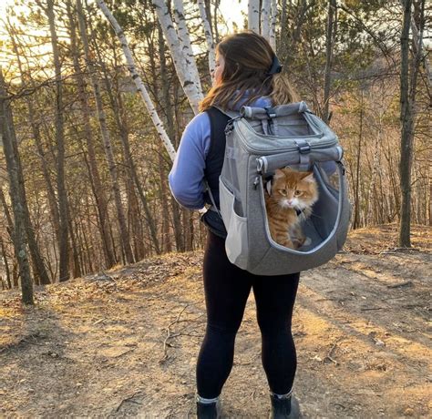 cat backpacks  carriers   fat cat backpack makers