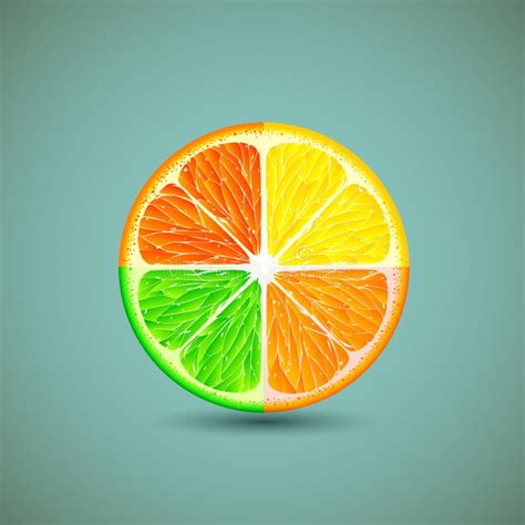 Icon Citrus Fruits Stock Vector Illustration Of Healthy 66210835