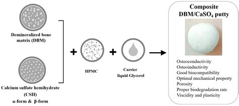 Preparation and Characterization of Moldable Demineralized Bone Matrix