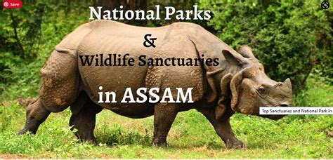 Wildlife Sanctuaries and National Park In Assam