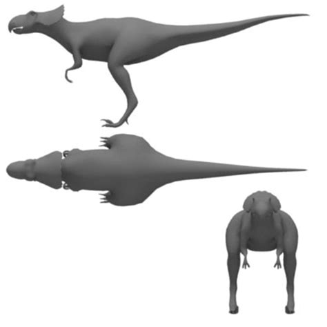 ds dinosaur microceratops