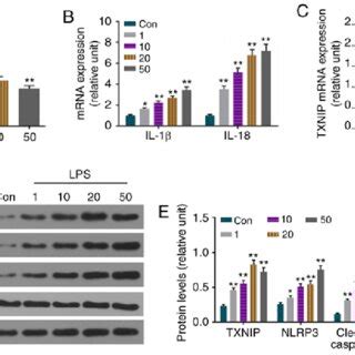 Levels Of Il Il Cleaved Caspase Txnip And Nlrp Are