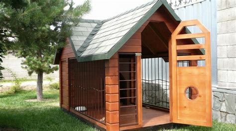 Уличный вольер для собаки | Собаки Балабаки