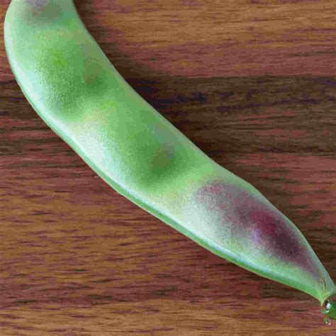 great northern bean recipes 11