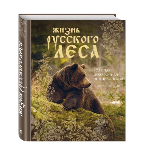 Иллюстрация 1 из 23 для Жизнь русского леса. Большая подарочная ...